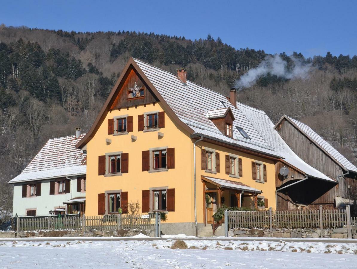 Gite Du Grand Pre Metzeral Bagian luar foto